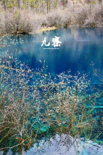 问问大家，贵州有哪些特色美食？